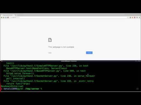 Setup A Webserver With Python Linux Tutorials Clip6