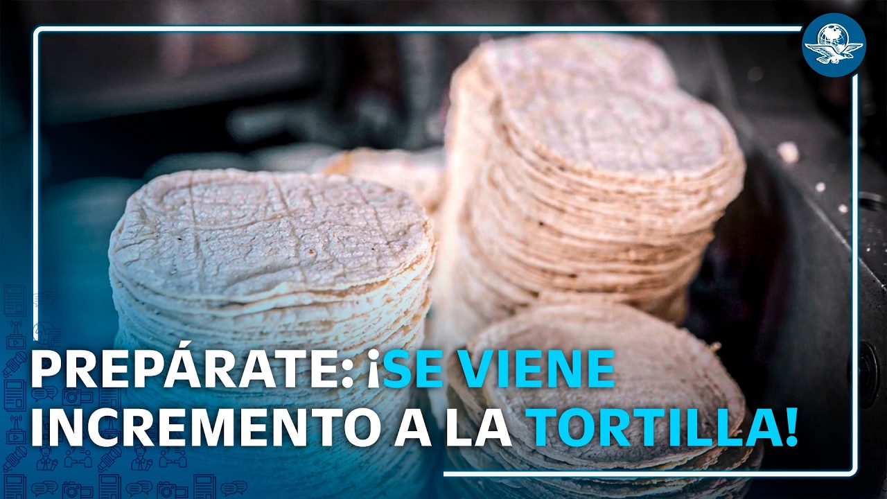 Golpe al bolsillo: tortilla subirá hasta 4 pesos por aumento de harina de maíz y combustible