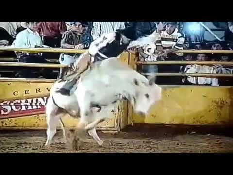 Rogério Ferreira rodeio de fernandopolis Ano 2002 (campeão do rodeio 🏆)
