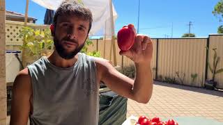 How to make homemade Italian Sun dried tomatoes