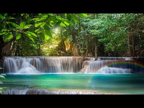 download lagu mp3 mp4 Inner Journeys To Tranquility Guided Meditation With Relaxing Music, download mp3 Inner Journeys To Tranquility Guided Meditation With Relaxing Music free download, download mp3 Inner Journeys To Tranquility Guided Meditation With Relaxing Music