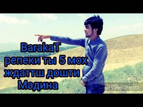 Пааах анаира реп меган SP BarakaT - Ты дига шиди  МАДИНА