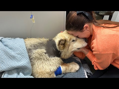 Phil 🖤 When Tomorrow Starts Without Me