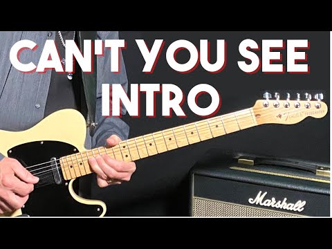 How to Play Can't You See Intro on Guitar
