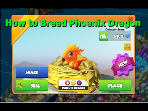 How to Breed Phoenix Dragon-Dragon Mania legends | Dragon of the week | DML