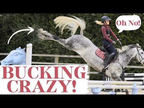 Too much Bucking, did I stay on!? Day in the Life BARN VLOG | This Esme