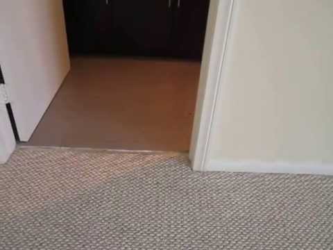 PL3023 - AMAZING 2 Bed + 2 Bath in Hollywood For Rent!