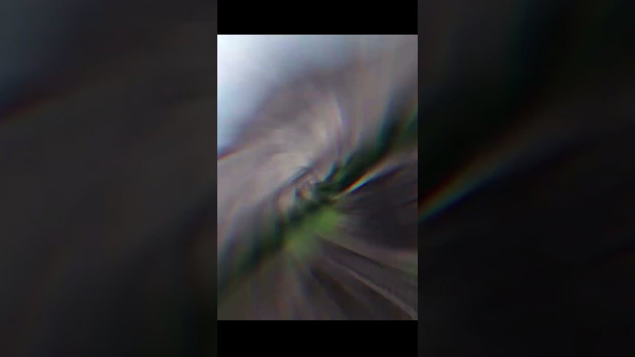 Mayan Crocodile City #shorts