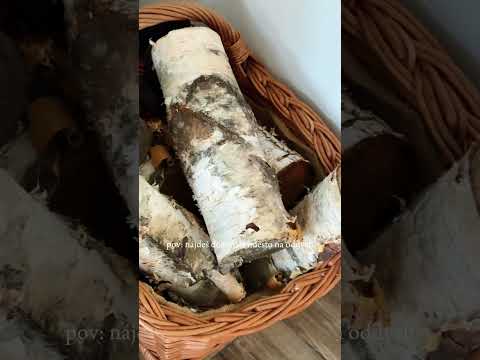 Domek Motýľ Oravská priehrada - Trstená 4