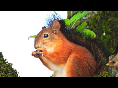 Pühapäev Kadriorus