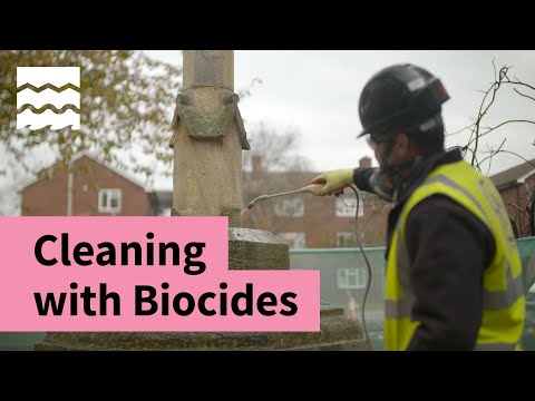 Cleaning a Stone Memorial with Biocides