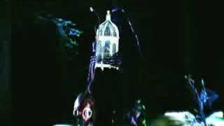 "Night of the Crickets" music video by mr. Gnome