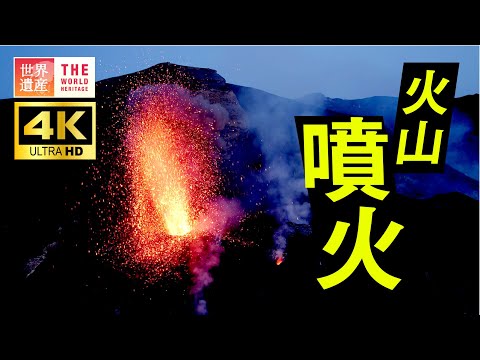 jardins méditerranéens -arbres-agrumes-muret-soutenement-pierre-naturelle