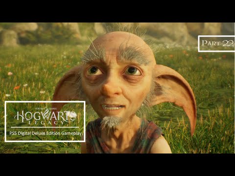 HOGWARTS LEGACY PS5 Walkthrough Gameplay Part 22 - Beast Vivarium 🏞🦄🐾🦔🐉 (Full Game) 🎮