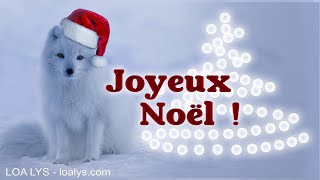350 - Joyeux Noël - CARTE DE NOEL - neige