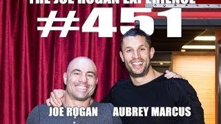 Joe Rogan Experience #451 - Aubrey Marcus