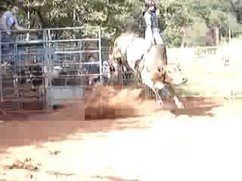 Juninho vs Raio laser