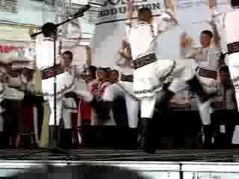 ansamblul somesana dej-fecioresc