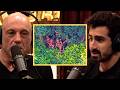 Uncontacted Tribes Didn't Scare Me Until I Learned This.. | Joe Rogan
