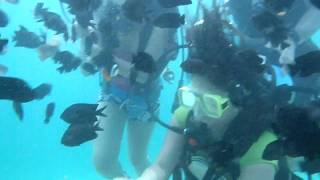 underwater escapade-( The other side of me )