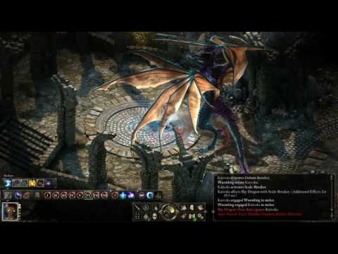 Pillars of Eternity [3.03] - Wizard Solo - Sky Dragon (Triple Crown)