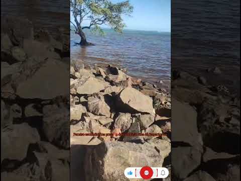 #paraísoescondido #itaparica #bahia