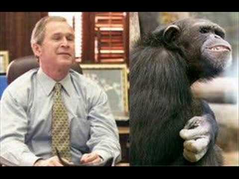 The monkey song with George W Bush