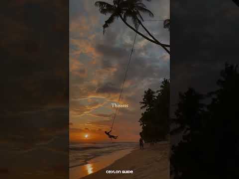 Ultimate beach experience at Shanti Shanti in Sri Lanka