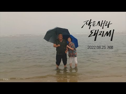 [작은새와 돼지씨] 메인 예고편 예고편