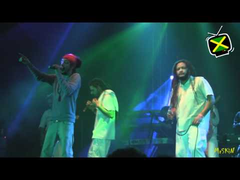 Train To Roots, Mellow Mood - Waiting In Vain - Live @ Estragon 17-2-11