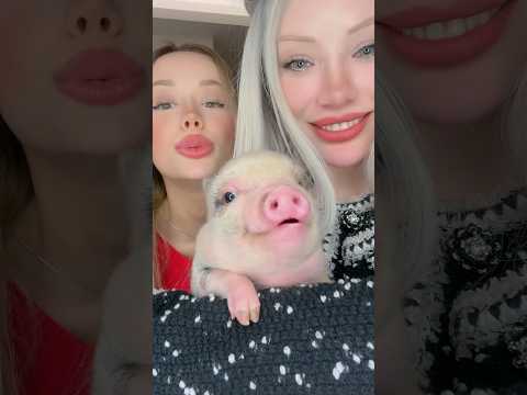 Arkadaşlar sevmek günah değil dimi? 🥹 #shorts #gamzekarta