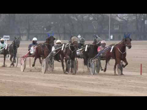 2017.02.11. 3. futam - VARÁZS DÍJ