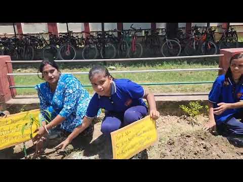 इको लाइफ मिशन 2024SW5KJMvo52s