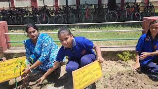 चित्र उपलब्द नहीं है