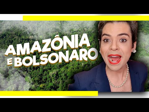 Dilma Sobre as queimadas e Bolsonaro