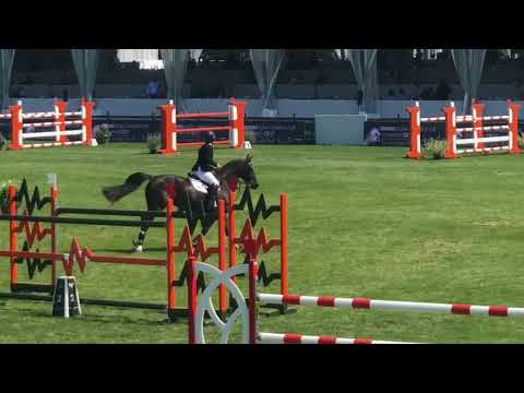 Fantomas de Muze GP Chantilly 2018