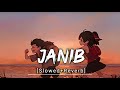 JANIB [Slowed+Reverb] - Arijit Singh ,SUNIDHI CHAUHAN | Music Zone | Textaudio