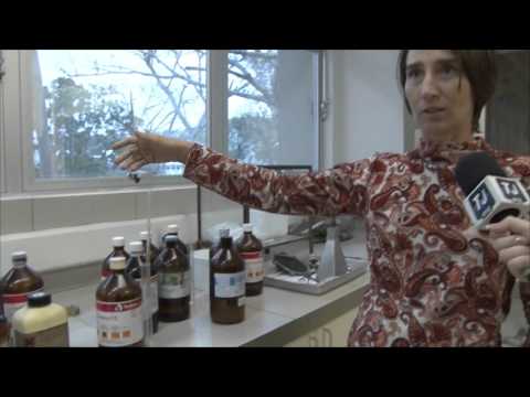 TJ UFSC 10/12/15 - Greves na UFSC