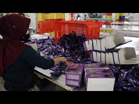 VIDEO COMPANY PROFILE TOBELO CHOCOLATE PT. BUMI TANGERANG COKLAT UTAMA