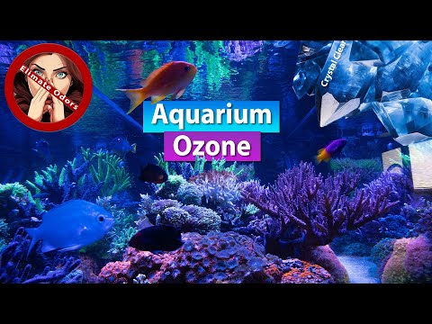 Aquarium Ozone - Smell Remover, Crystal Clear water and rid Toxins?!!