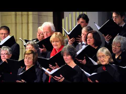 Discover/Découvrez Anima Musica