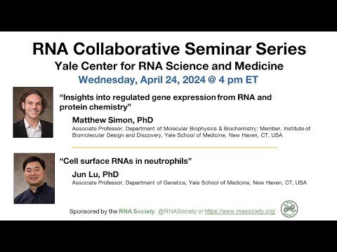 RNA Collaborative Seminar - Yale Center for RNA Science & Medicine, April 24, 2024