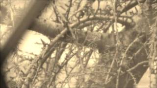 How Deep The Fathers Love For Us - Sarah Sadler Lyrics