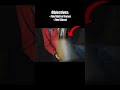 My First Cave-Diving Experience Went Wrong - Sean Andrew My First Cave-Diving Experience Went Wrong