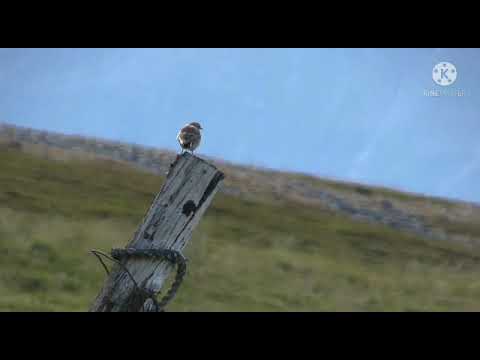 sea view in uk!! beautiful  view.