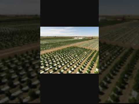 Cannabis Cultivation Grow Space preparation