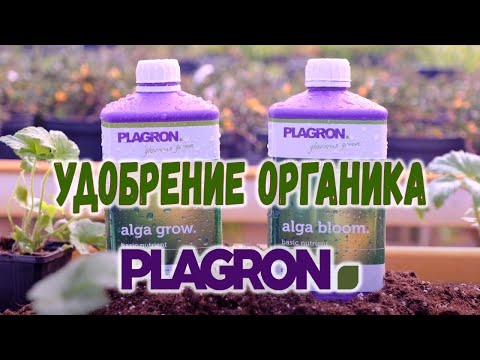 Plagron Alga Bloom 1 л Удобрение органика - фото 1 - id-p889301161