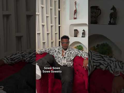 Zebra vibes 🔥 #afromusic #afrobeats #dance #newmusic #afrovibes #africanmusic #brucemelodie