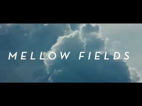 Mellow Fields Album Promo