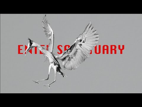 The Dutch - Enter Sanctuary (feat. Fay Lovsky)